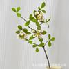 Isla de Planta Artificial Flor de Primavera Campana Colgante Hoja de Múltiples Pétalos Hoja de Madera de Caballo Estilo Ins Celebridad de Internet Casa de Huéspedes Decoración del Hogar Ramas y Hojas