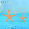 Mini estrella de mar colorida de cinco puntas, manualidades de resina para paisajes en miniatura, decoraciones para acuarios, accesorios para elementos acuáticos de peceras