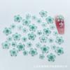 Decorações Populares para Nail Art de Flores Mini, Strass de Flor de Cinco Pétalas Gelo-Transparente Atacado, Acessórios Transparentes para Nail Art com Strass de Fundo Plano
