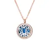 Collar Difusor de Aromaterapia para Mujer, Colgante Hueco en Oro Rosa, Puede Contener Aceites Esenciales, Apertura y Cierre Magnéticos, Venta al por Mayor de Joyería