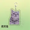 Llavero Acrílico Mini-Teatro de Memes de Gatos, Lindo y Divertido, Colgante Decorativo para Mochila, Regalo para Amigos
