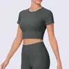 Camiseta de yoga feminina de manga curta em spandex, respirável, absorvente de suor, corte justo, comprimento curto, top fitness fresco e de secagem rápida