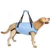 Coleira de Assistência para Pets Novo Modelo Transfronteiriça para Cães Idosos e Deficientes, Coleira e Guia de Cachorro Ajustáveis para Reabilitação e Viagem
