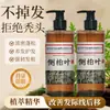 Nantongzhong Hecho a Mano Puro Hoja de Corteza Lateral, Ginseng, Saponina, Polygonum Multiflorum Planta Medicinal Cuidado del Cabello, Champú Anticaspa y Fijador del Cabello