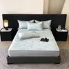 Lujo Ligero Jacquard Carbón Hielo 900D Sábanas Colchonetas Suaves Refrigeradas Clase Amigable con la Piel Transpirable Lavables a Máquina Colchoneta de Seda de Hielo para Dormir Desnudo