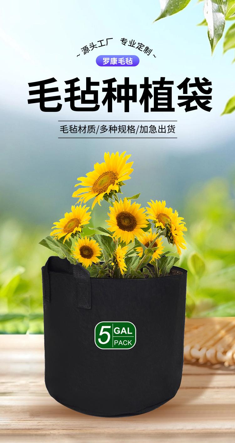种植袋-详情_01.jpg