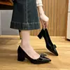 Moda transfronteriza nuevos zapatos de tacón alto franceses para mujer, otoño 2026 nuevos zapatos de punta fina con tacón grueso y lazo para mujer
