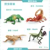 Simulación Transfronteriza Modelo de Araña Real Unicornio Insecto Juguetes para Niños Mariposa Abeja Adornos de Animales