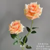 Arranjo de Chão com Flores Artificiais Cor de Champanhe, Rosa de Casamento, Hortênsia, Material de Flores para Corredor de Teto, Arranjo de Decoração para Auditório