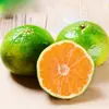 [Selección Premium] Mandarinas Miel de Yichang de Hubei, disponibles para envío directo en paquetes de 3/5/9 libras, tamaño de 50-75 mm, una fruta fresca de temporada agridulce