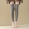 Calcetines Cálidos de Otoño e Invierno hasta la Rodilla, Calcetines de Terciopelo Persa para Mujer, Calcetines Gruesos, Estilo Japonés de Invierno, Calcetines Largos de Rodilla de Color Sólido Antideslizantes