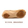 Zapatos de práctica de ballet profesional con costuras elásticas para mujer adulta, zapatos de baile de garra de gato, zapatos de baile chino, zapatos de danza folclórica