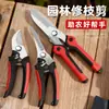 Tijeras de Podar para Árboles Frutales, Tijeras de Jardinería Domésticas de Acero Inoxidable, Tijeras de Podar Ramas y Flores, Tijeras para Recolectar y Injertar, Tijeras de Jardín para Recolectar Fruta