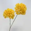 Hortensia Artificial de 2 Cabezas, Hortensia Fresca de Tallo Largo para Decoraciones de Bodas de Hotel, Decoración de Techo de Gran Luz, Hortensia de Exportación