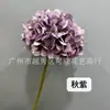 Color Otoño Chino Hortensia Flor Seca Individual Hortensia Degradada Color Clásico Hortensia Rama Corta Individual Decoración de Boda
