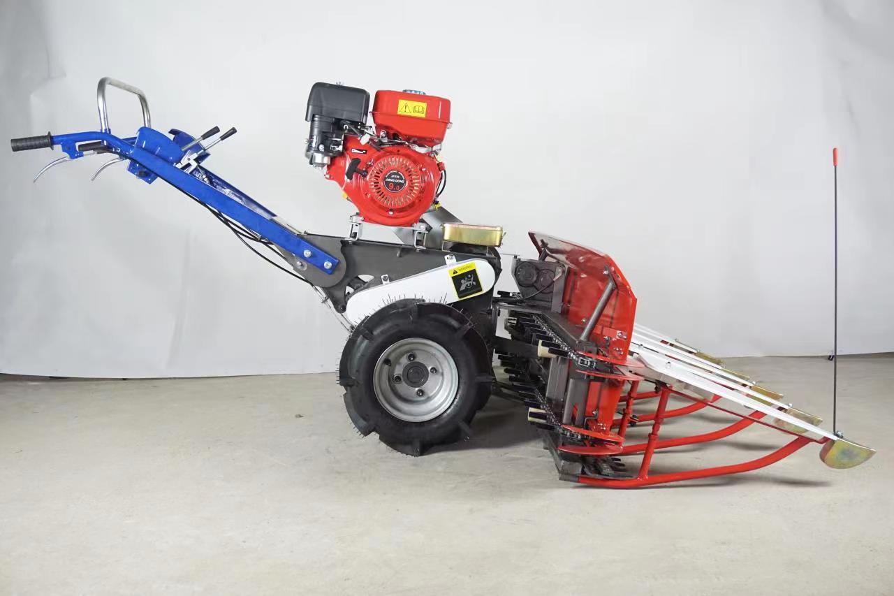 QQ图片20230713114230