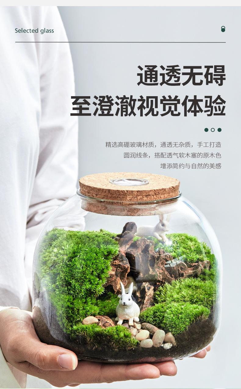玻璃生态瓶_06.jpg