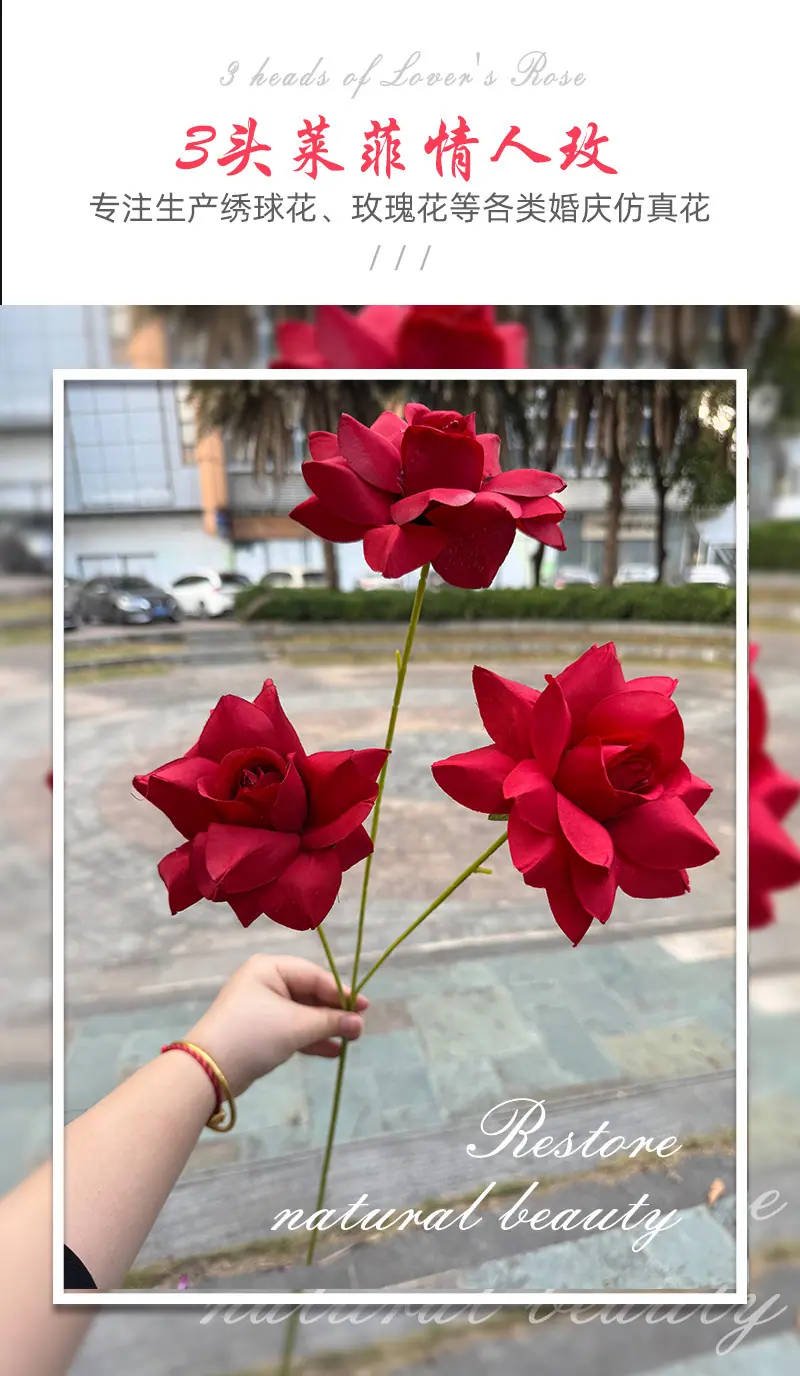 3头莱菲情人玫-详情_01.jpg