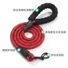 Correa para Mascotas, Antiperdida, Desmontable, Cómoda, Cuerda Reflectante, Cadena para Perro, Antiescape, Cuerda para Pasear Perros, Protección contra el Calor del Verano