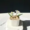 Adornos de Artesanía de Vidrio de Zibo, Plantas Suculentas en Maceta, Plantas Verdes de Vidrio, Regalos de Flores de Diciembre, Decoraciones de Oficina