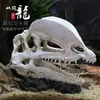 Caveira de Dinossauro de Resina Transfronteiriça Répteis Répteis Plantas Aquáticas Paisagismo Crânio de Simulação Aquário Tanque de Peixes Decorações