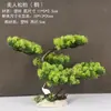 Decoração de Enfeite de Mesa Pinheiro Bem-vindo Pequeno Pinheiro Plantas Verdes Plantas Aquáticas Mini Rochedo Aquário Paisagismo Hotel