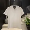 Verano Nuevo Hombre 2026 Gama Alta Sencillo Negocios Polo Casual Hombre Versátil Corte Delgado Moda de Negocios Manga Corta