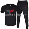 Traje Casual de Dos Piezas para Hombre de Manga Corta y Pantalones de Venta Caliente Transfronteriza, Cuello Redondo, Color Puro, Traje Deportivo Casual con Imágenes y Estampado