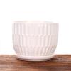 Maceta de Cerámica Extra Grande Blanca Minimalista Flores Frescas Plantas Verdes Jardinería Plantas en Maceta Plantas Suculentas Contenedor de Maceta Venta al por Mayor
