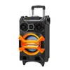 Novo Áudio Bluetooth de Alta Potência 30W Subwoofer Pesado Ipx7 À Prova D'água Portátil Áudio Externo Profissional Rgb
