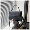Bolso de Hombro Casual 2024 Verano Nuevo Bolso de Mano Simple Moda Elegante Nicho Personalizado Hermoso Bolso Cuadrado Pequeño