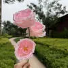 3 Rosas de AustinFlores Artificiales para Decoración de Bodas, Arreglos Florales Falsos, Arreglos Florales Falsos para Caminos