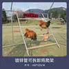 Percha para dormir para pollos de exterior, estante para gallinero, madera maciza, percha para pollos de aves de corral, escalera, tubo galvanizado, patas antidesgaste, estructura para trepar pollos