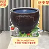 Héroe Lluvia Llega Sima Guang Rompe el Jarrón Atrezo Juego Fondo Tablero KT Guardería Bosque Árbol Grande Actuación Infantil Leide Zhu