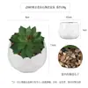 Más de 100 Macetas Cerámicas Populares de Amazon con Combinaciones de Plantas Suculentas Artificiales, Bonsái de Suculentas Falsas de Estilo Fresco Creativo