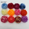 Flor de Crisantemo Cabeza de Garra de Dragón Simulada 12cm Flor Artificial Colorida Decoración para Bodas y Decoración del Hogar Flor de Seda Accesorios de Corona Hechos a Mano
