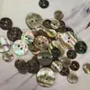 Em estoque Botão de Concha de Abalone Concha Natural Botão para Roupa Infantil Botão para Suéter de Tricô Botão de Concha de Abalone Doméstico