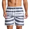 Comercio exterior Pantalones de playa de secado rápido para hombre a rayas estampado europeo y americano tela lavada bañadores transfronterizos talla grande shorts casuales