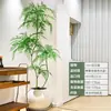 Planta Viva Jacaranda Sala de Estar Planta Grande en Maceta Interior Fácil de Mantener de Pie Flor Real Paisaje Jardinería para Absorber Formaldehído