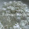 Ostra Mariposa Amarilla Ostra Mariposa Negra Ostra Mariposa Blanca Corona de Pelo Hoja de Arce Tallada Nueva Pasador Joyería Estilo Antiguo Accesorios de Joyería diy