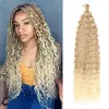 Peruca de Fibra Química Africana Transfronteiriça Europeia e Americana Extensões de Cabelo para Crochê Grampos de Cabelo Cacheados Cabelo Cacheado Longo Onda Profunda