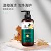 Zhen Shame Suco de Gengibre Nutrição Shampoo Hidratante Gengibre Velho Wang Planta de Cabelo Anti-caspa Aumentando a densidade Cuidados com o cabelo Shampoo Líquido