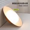 Lámpara de balcón color crema, lámpara de techo, lámpara de pasillo estilo japonés, lámpara de pasillo con viento antiguo y silencioso, lámpara de entrada francesa