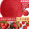 Bolinhas de Camarão Lichia Vermelha em Formato de Flor Crocante Famosas na Internet, Grãos de Arroz Crocantes, Ingredientes para Lanche Frito Amarelo Colorido Feizi Xiao