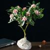 Planta em Vaso Daphne de Phnom Penh, Tipo Fortemente Perfumado com Botões, Planta de Flor para Sala de Estar Antiga de Interior, Flor Resistente ao Frio que Floresce em Todas as Estações