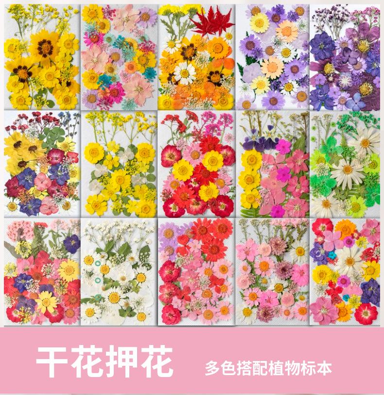 稿定设计-1.png