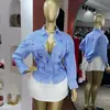 Moda Feminina Transfronteiriça Europeia e Americana Verão 2026 Novo Estilo Design Elegante Nicho Top Camisa Listrada Tecida