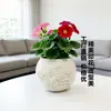 Maceta redonda de resina con relieve de flor de ciruelo, maceta para perezosos con autorriego, maceta de balcón