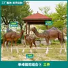 Adornos de Animales Simulados para Exteriores, Esculturas Grandes de Camello de Fibra de Vidrio para Decoración de Paisajismo de Parques y Espacios Verdes Comunitarios, Manualidades