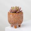 Vaso de Cerâmica Vermelha para Cactos Vaso de Flor Especial Cacto Wanzhongshan de Mesa Vaso de Cerâmica de Pé Alto Respirável e Absorvente de Água
